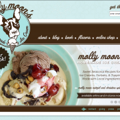 www.mollymoonicecream.com